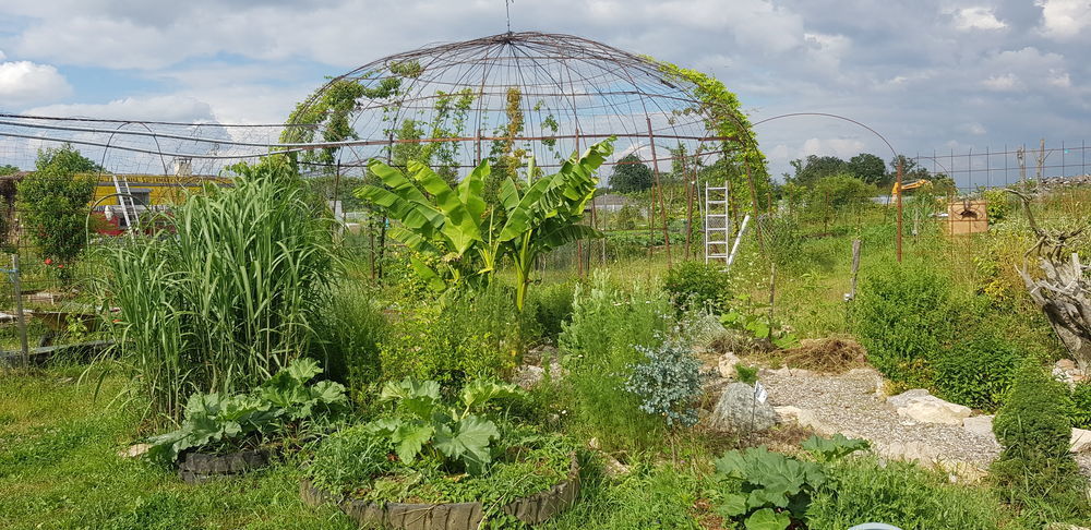 Parcelles de terre &Agrave; louer Jardin