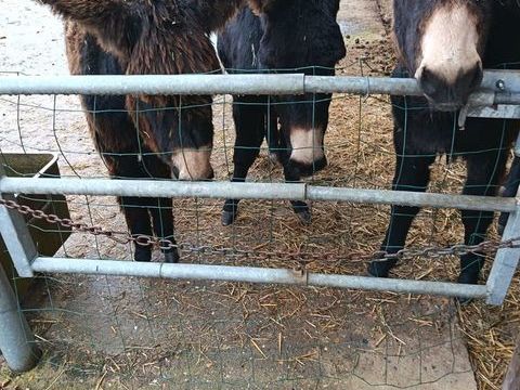 ANONS 1 76890 T�tes