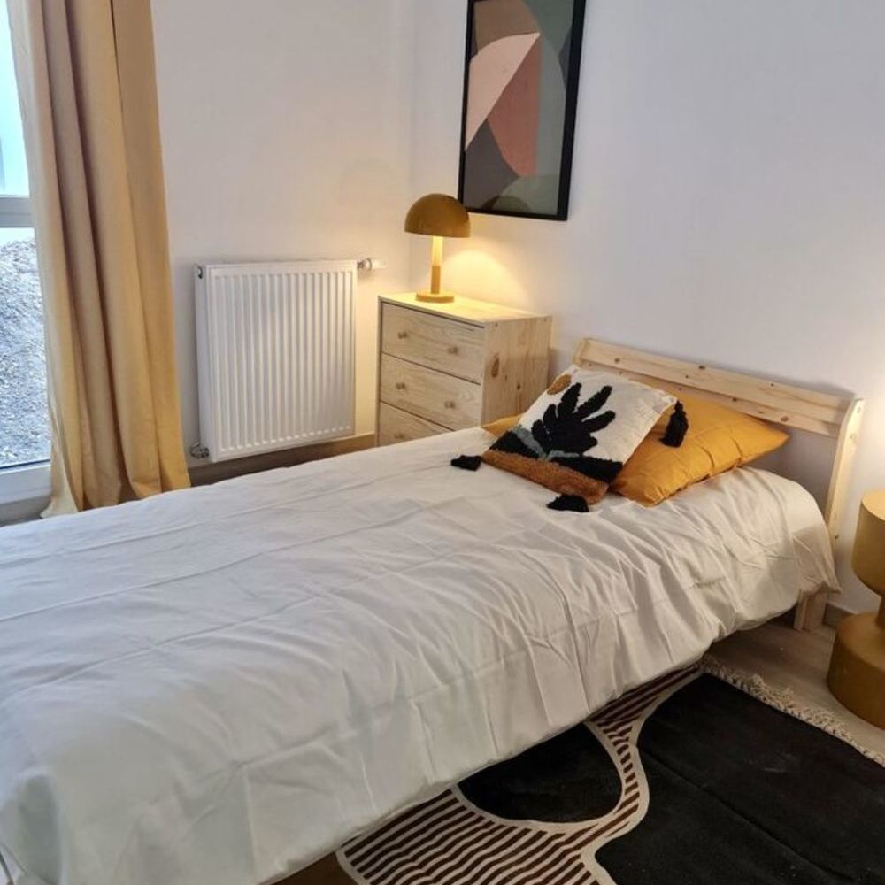   Villeurbanne (69100)