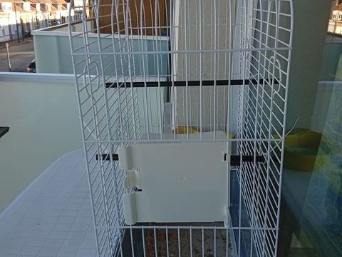 Cage oiseaux 30 62110 H�nin-beaumont