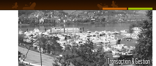 Agence AMBRE IMMOBILIER Les Roches-de-Condrieu