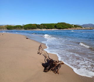 Location  Mobile Home 