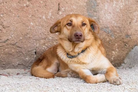 June 300 28000 Chartres