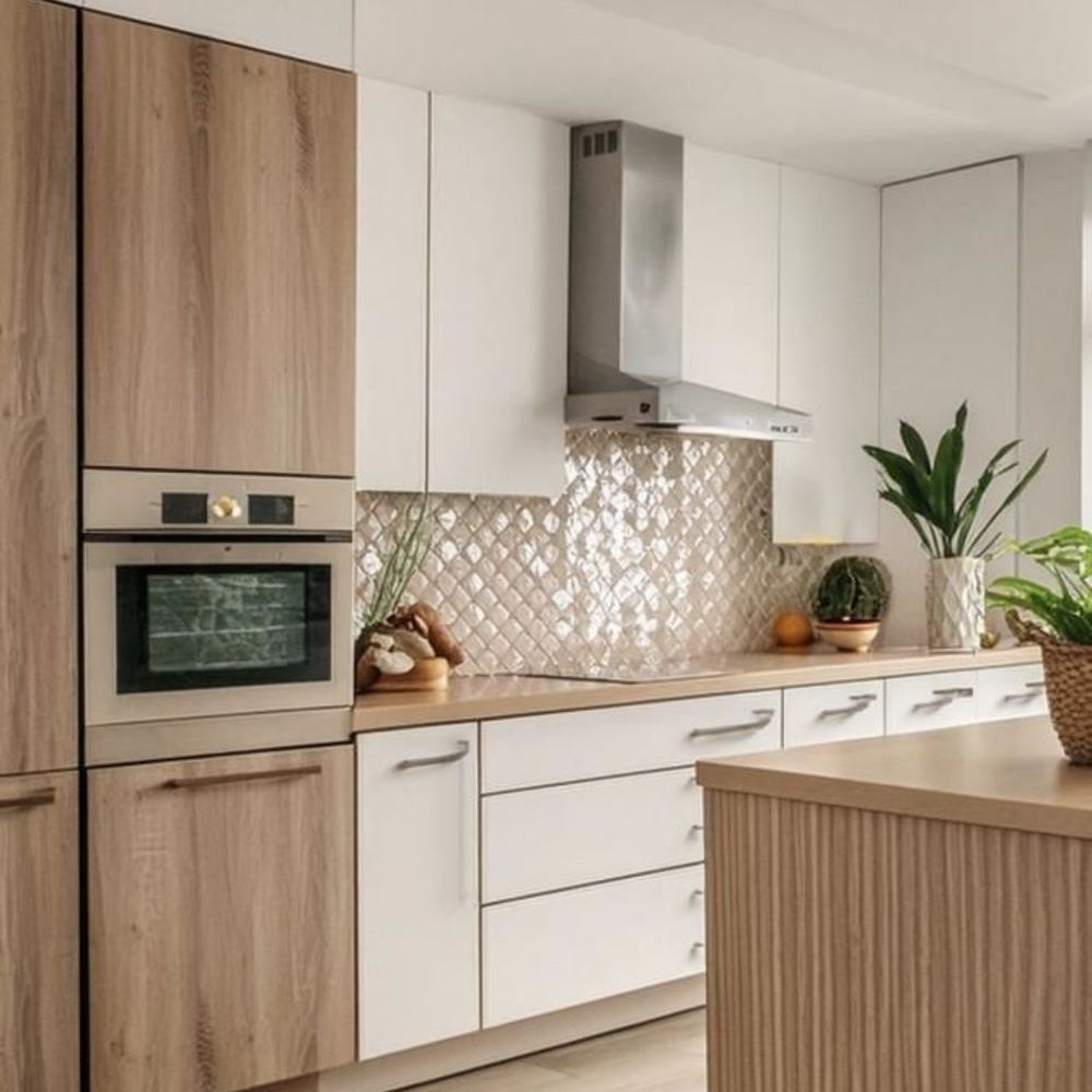 Appartements neufs   Toulouse (31400)