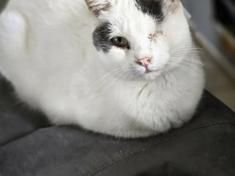 TEUTA 210 76220 Ferrires-en-bray