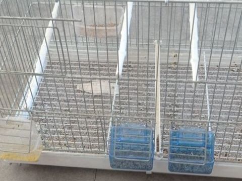 Canaris 60 33240 Saint-andr�-de-cubzac