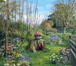  Appartement � louer 2 pi�ces 40 m�