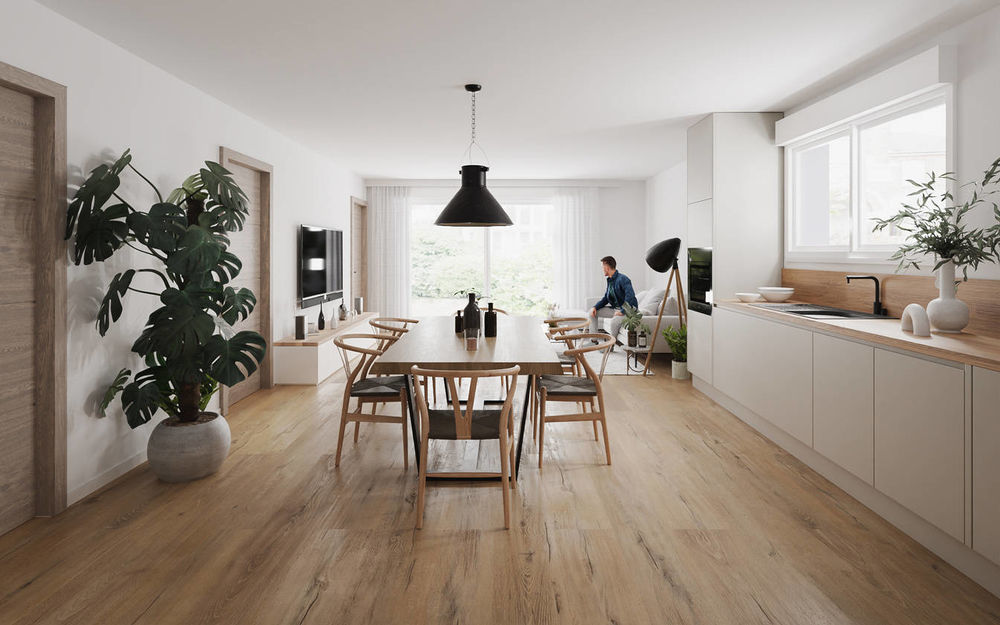 Appartements neufs   Hengwiller (67440)