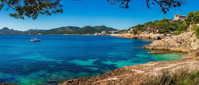 Agence L'AGENCE BASTIA BALAGNE Bastia