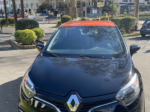 Renault Captur TCe 90 Energy Business 2017 occasion Divonne-les-Bains 01220