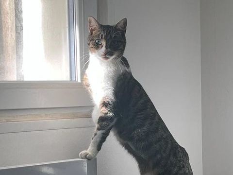 VICTORIA 220 95610 �ragny