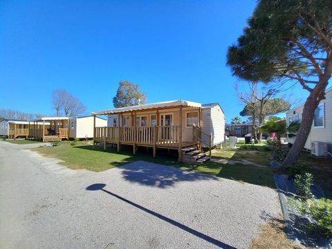 Mobil-Home Mobil-Home 2021 occasion Torreilles 66440