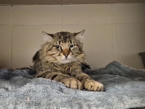 NYAN 200 26700 Pierrelatte