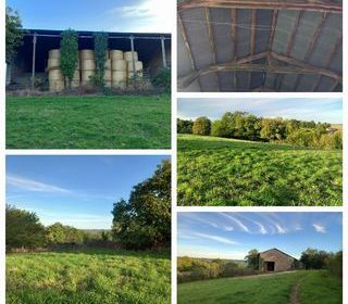  Terrain � vendre 10000 m�