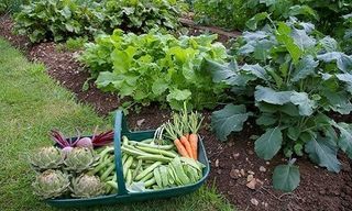  Terrain � louer 150 m�