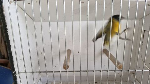 Tarin 0 31220 Le plan