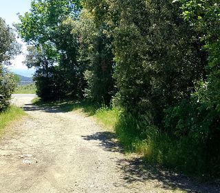  Terrain � vendre 980 m�