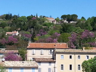  Appartement � vendre 3/4 pi�ces 150 m�