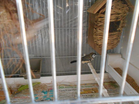 bichnov 30 72320 Berfay