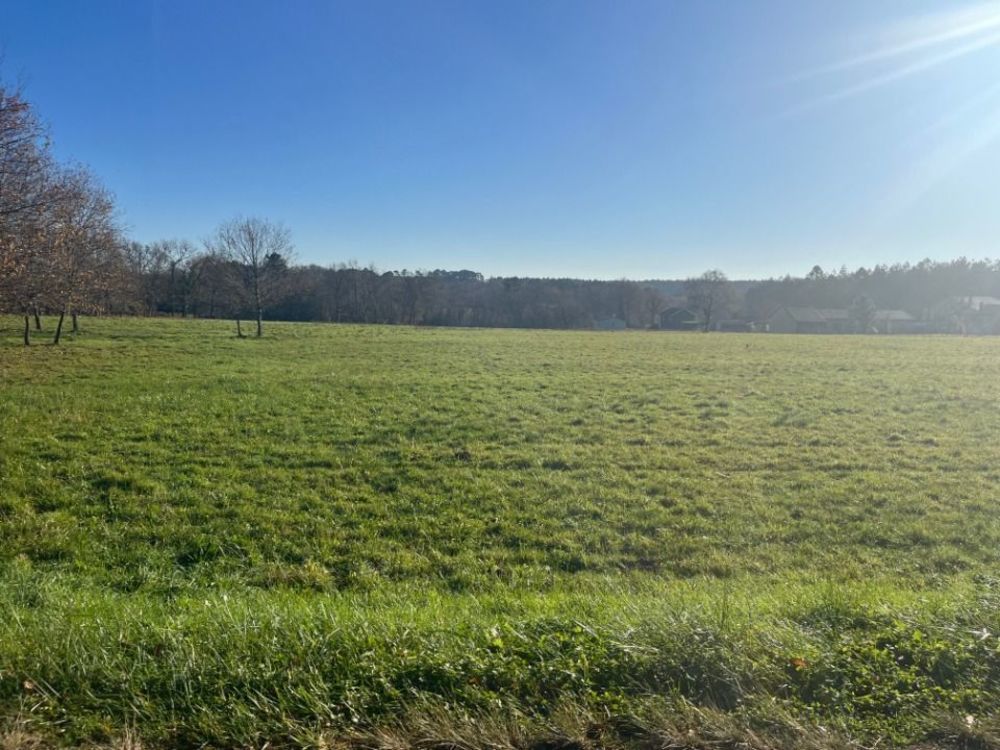 Maisons neuves   Casteljaloux (47700)