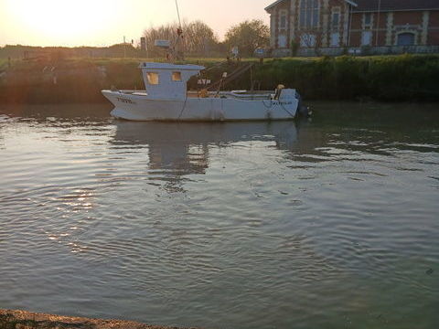 Bateaux &agrave; moteur P&ecirc;che-promenade 1980 occasion Saint-Christoly-M&eacute;doc 33340