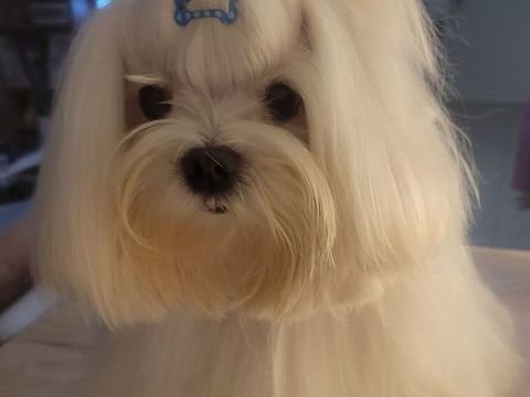 Saillie 1000 13009 Marseille