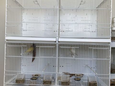 2 cages double 60 60800 Crpy-en-valois