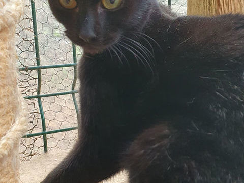 UKI 240 92400 Courbevoie