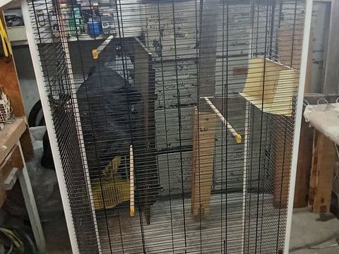 Cage . 1,60 m de hauteur, 70cm delargeur 42cm de profondeur 60 73190 Challes-les-eaux