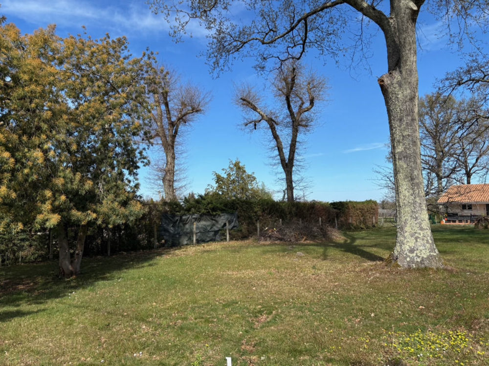 Terrains � batir   Saint-Est�phe (33180)