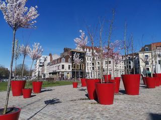  Chambre � louer 1 pi�ce 12 m�