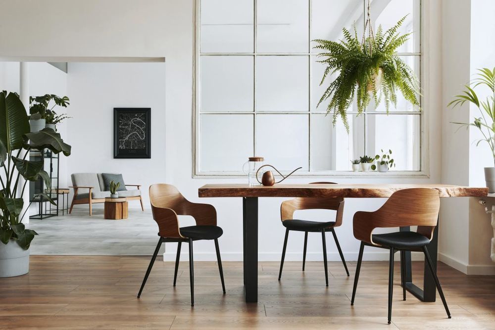 Appartements neufs   Noisy-le-Grand (93160)