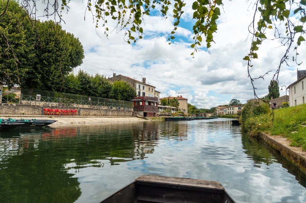 Appartements neufs   Niort (79000)