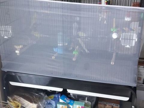 CAGE DOUBLE SUR TABLE A ROULLETTES + 8 CANARIS + ACCESSOIRES 450 60410 Verberie