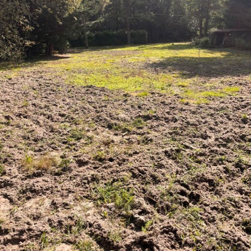 Maisons neuves   La Br�de (33650)