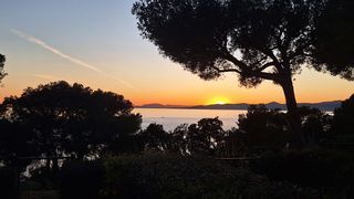  Appartement � vendre 1 pi�ce 27 m�