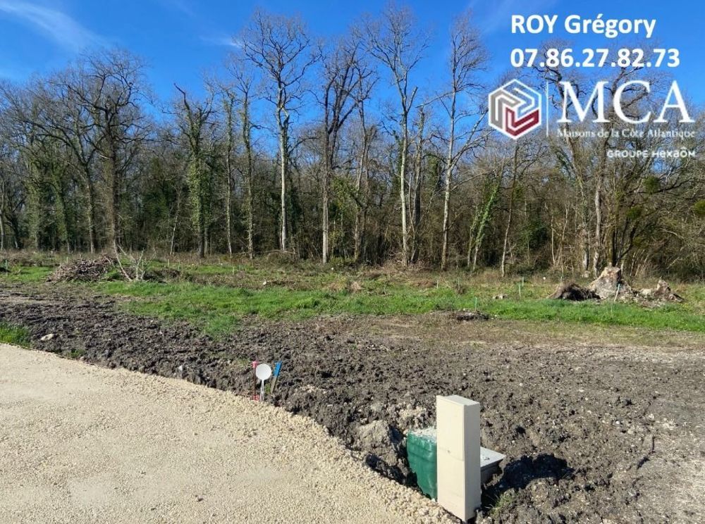 Maisons neuves   M�dis (17600)