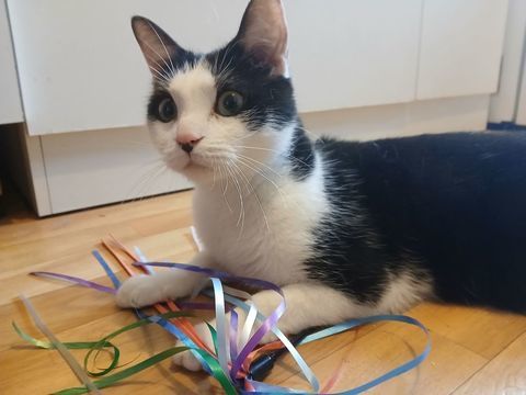 Marin 190 59113 Seclin