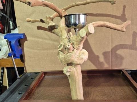 Arbre de Java small et medium pour perruche / perroquet 250 40200 Mimizan