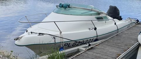 Bateaux &agrave; moteur P&ecirc;che-promenade 1994 occasion Charny 89120