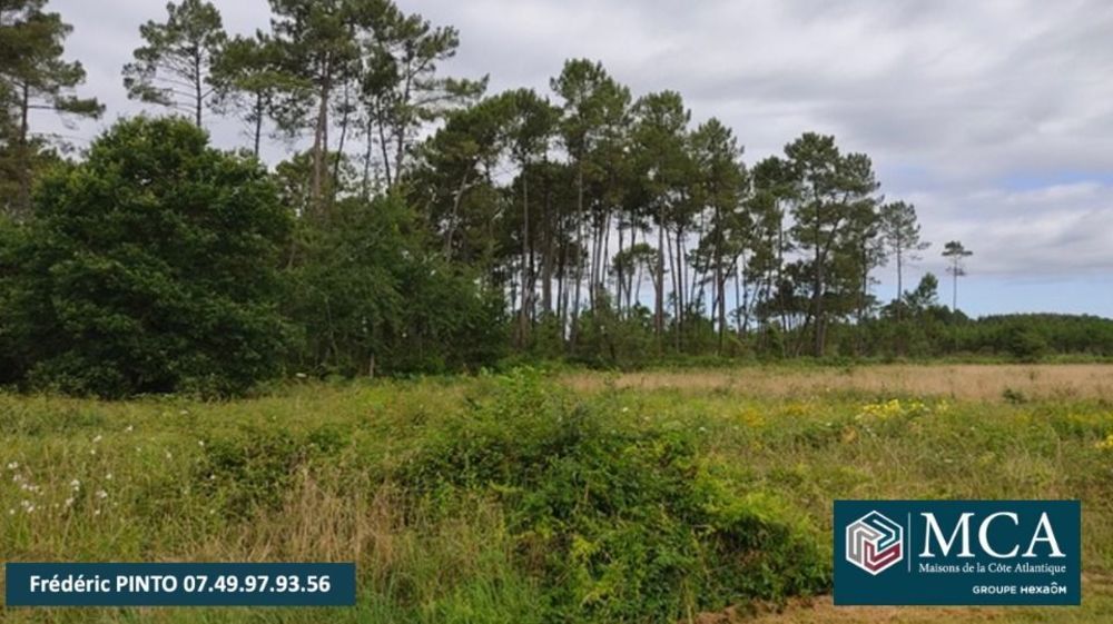 Maisons neuves   Saint-Yaguen (40400)