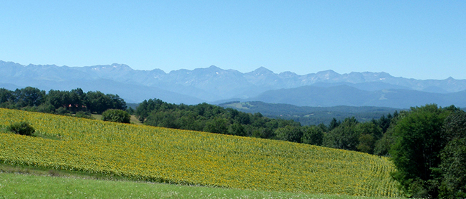 Agence IMMO 107 Carbonne