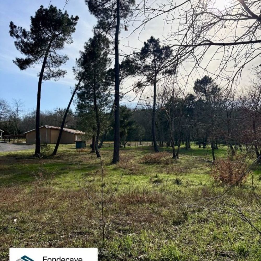 Maisons neuves   Casteljaloux (47700)