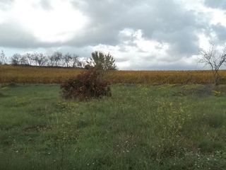  Terrain � louer 500 m�