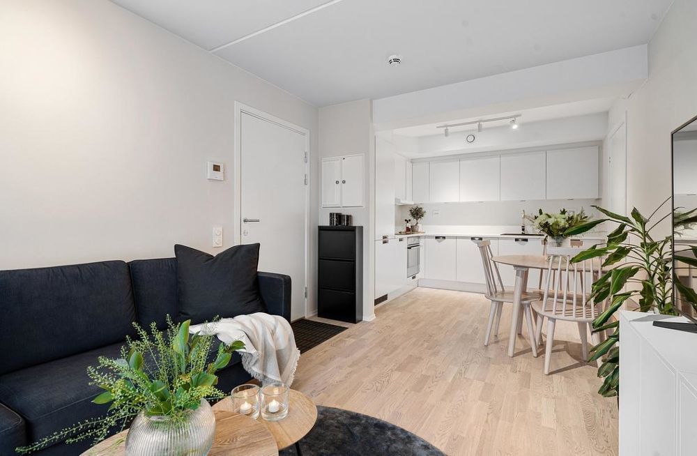 Appartements neufs   Aubervilliers (93300)