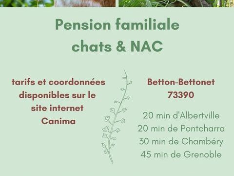 Pension chat lapin cochon d'inde tortue oiseau furet  73390 Betton-bettonet