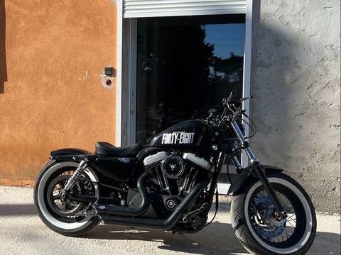 Moto HARLEY-DAVIDSON 2010 occasion Villeurbanne 69100