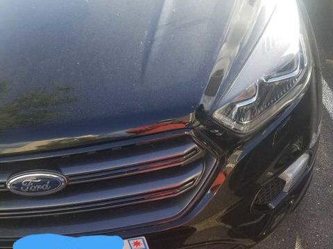 Ford Kuga 1.5 Flexifuel-E85 150 S&S 4x2 BVA6 ST-Line 2019 occasion Marly-le-Roi 78160