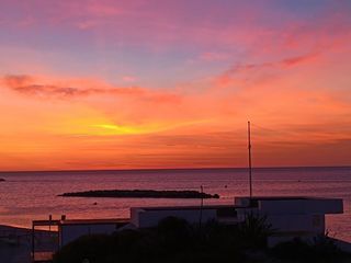 Location  Appartement 