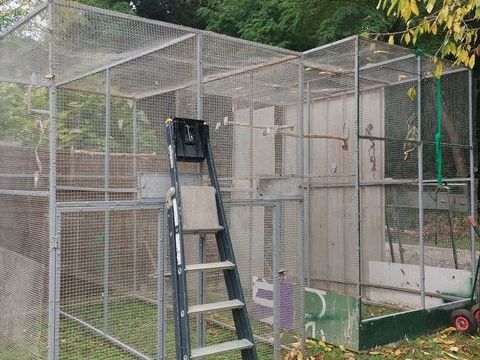 Volière 230 47200 Fourques-sur-garonne